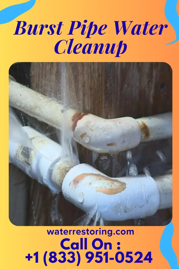 Burst Pipe Water Cleanup in Krupp, WA