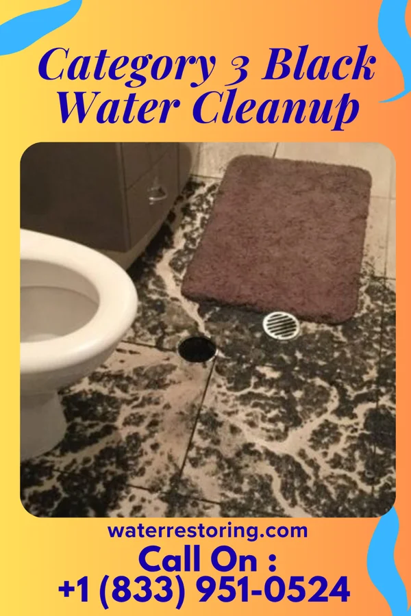 Category 3 Black Water Cleanup in Krupp, WA