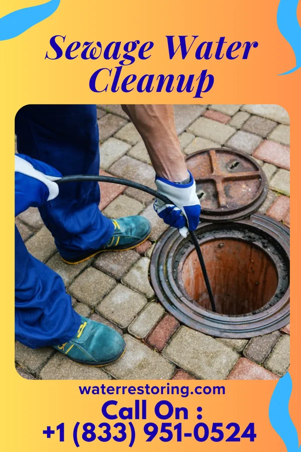 Sewage Water Cleanup in Krupp, WA