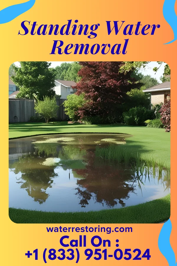 Standing Water Removal in Krupp, WA